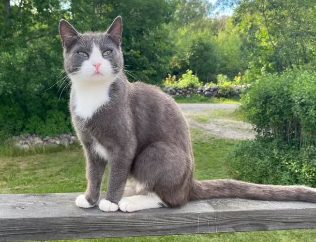 [f] Mini blended by the sun 