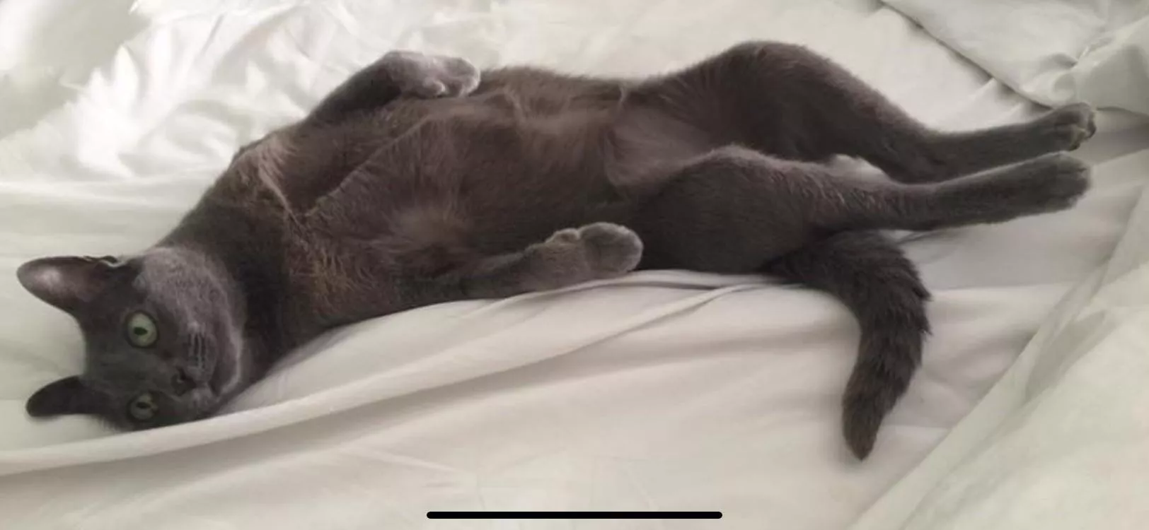 [f] Paint Me Like One of Your French Girls…