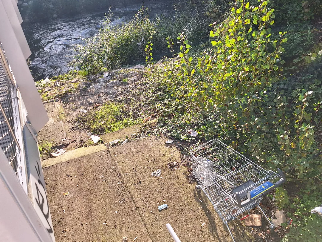 Found this slut by the river, yearning to return to it's natural habitat