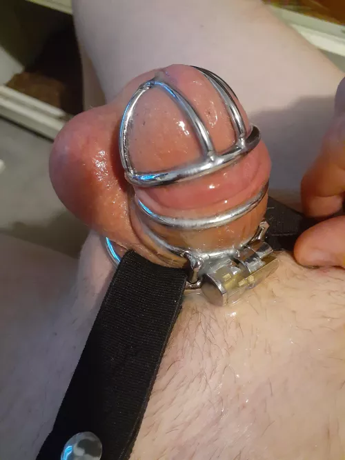 Glazed my caged nub. Now that i can do this I really have no need to ever take it off