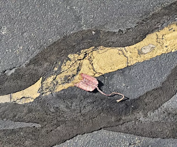 God knows how old tampon in the parking lot.