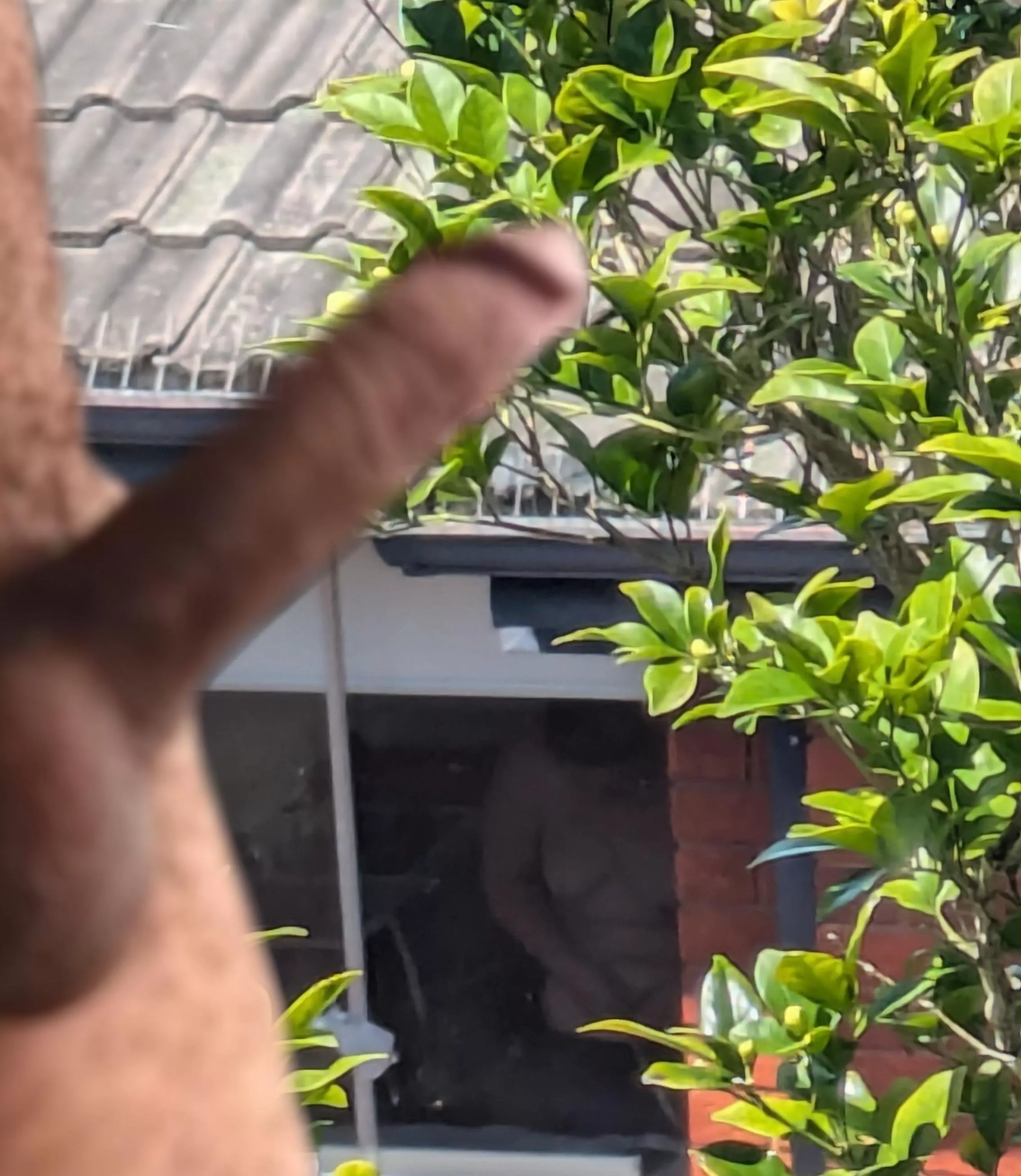 Have I started something??