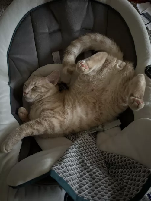 i always tell him to have some decorum [M]