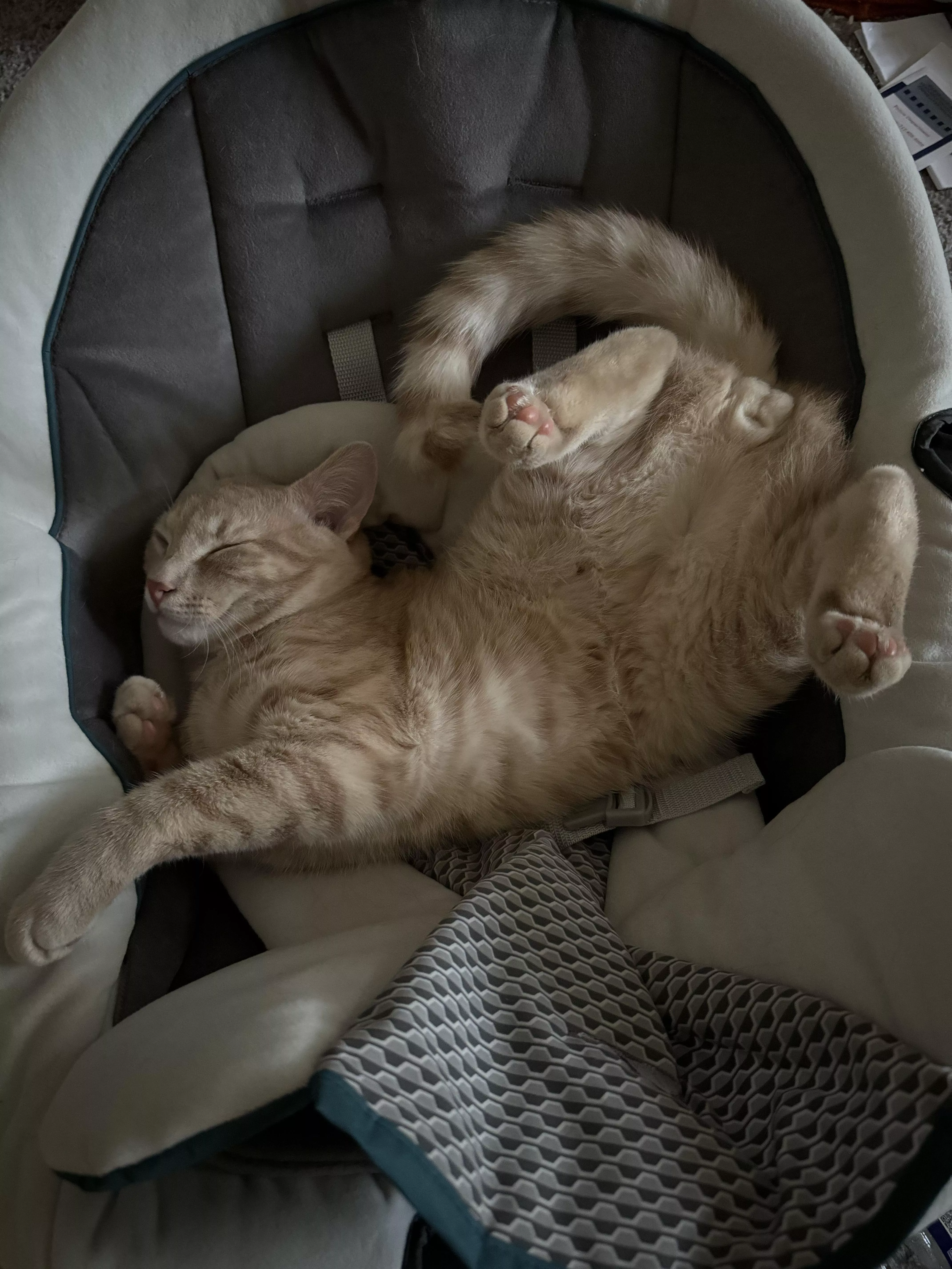 i always tell him to have some decorum [M]