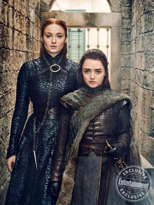 If I was Jon, I would've made sure both Sansa and Arya were fucked and bred by the end of the show.