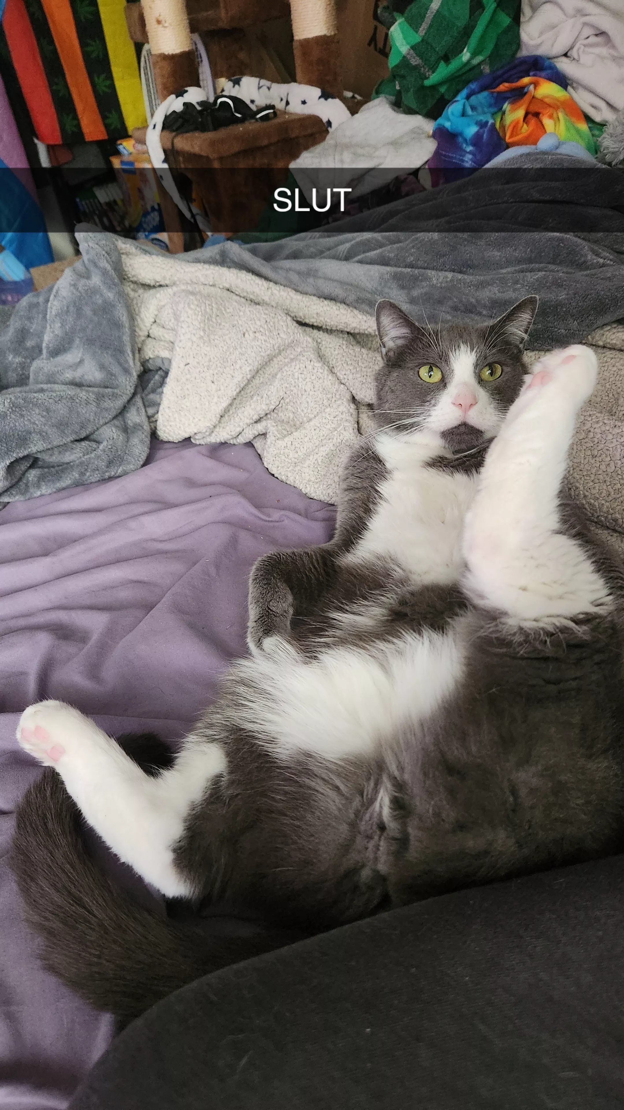 Jacket showing off the[m] goods