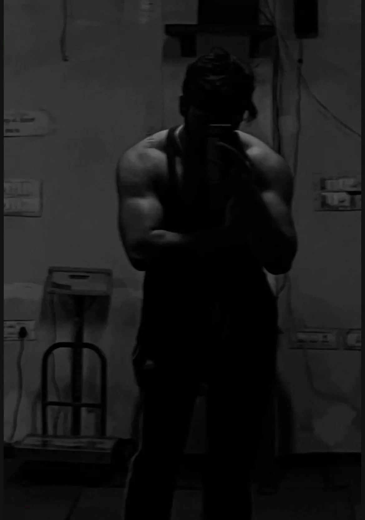 Looking for a cougar 