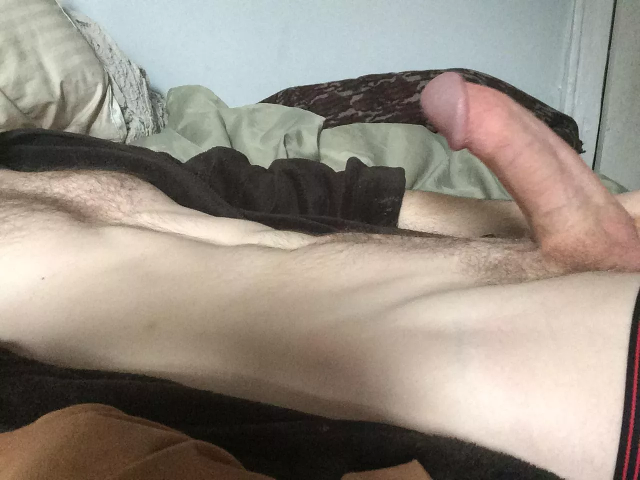 Looking for a wife to breed in New Orleans