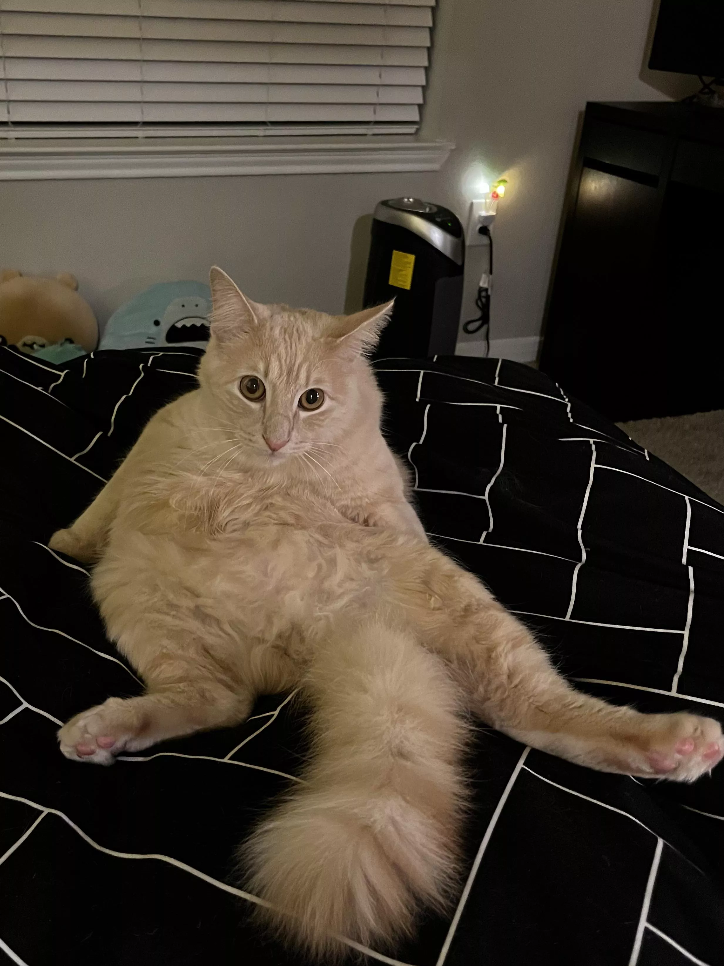 [M] proves he’s not camera shy, spread and ready