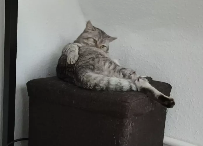 [m] Two minutes into netflix & chill and he gives you this look. What do you do?