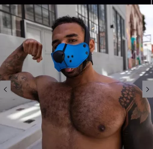 Puppy items/colour code 