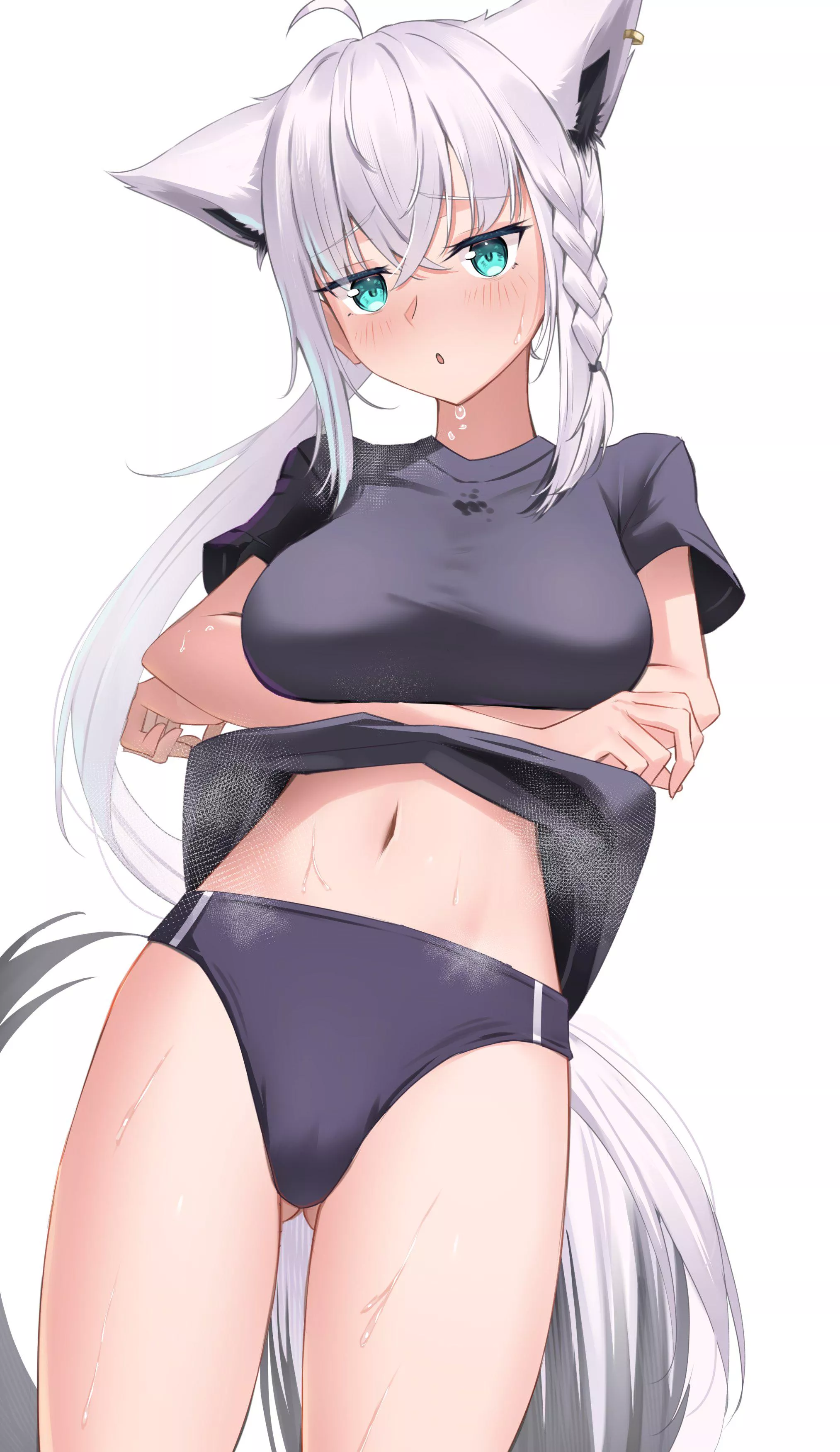 Shirakami Fubuki [Hololive]