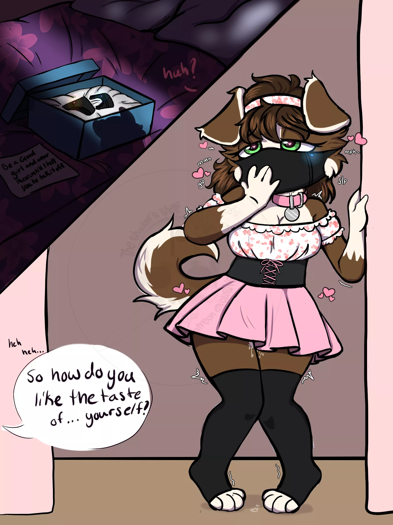 Tasteful package [F] (theshadowsshelf)