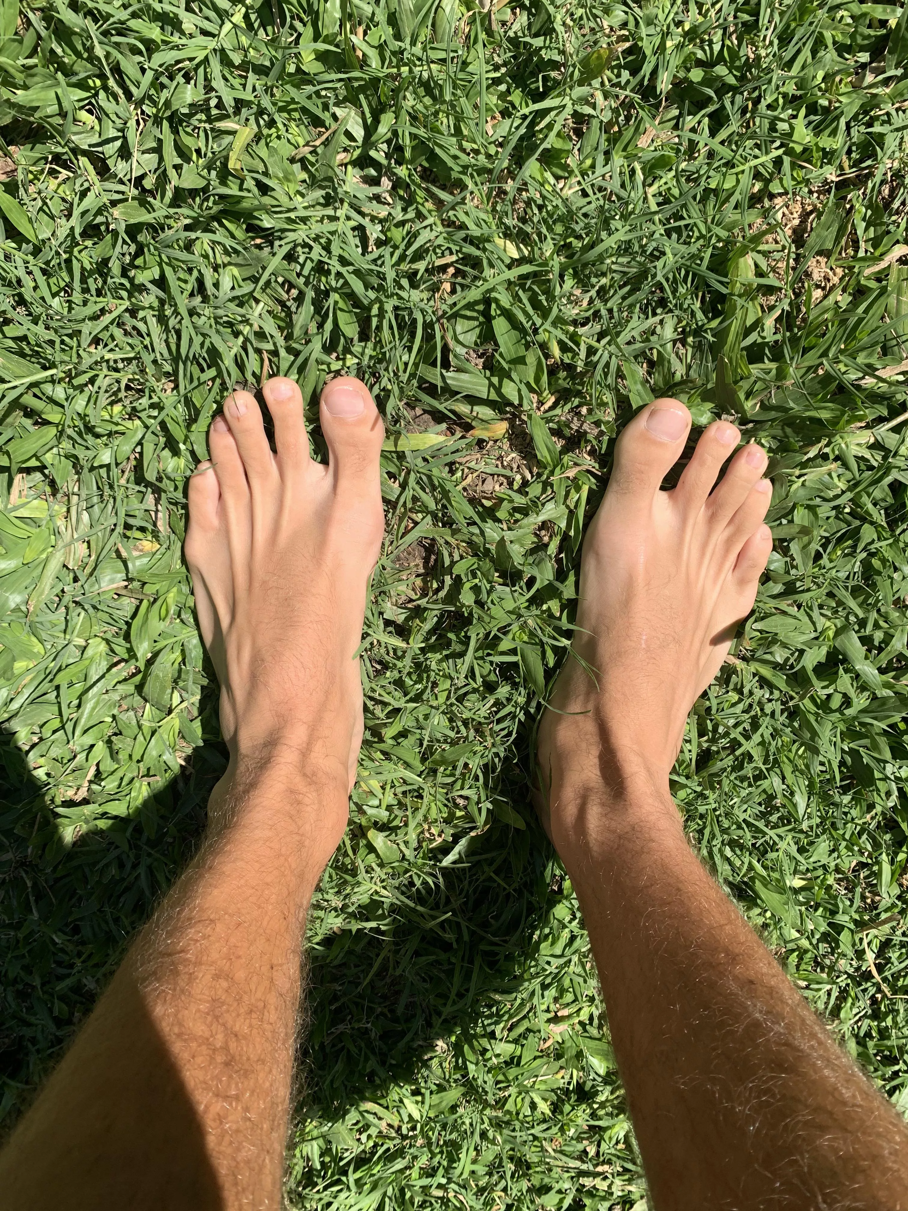 the grass likes to be stepped on by my feet… and u? 