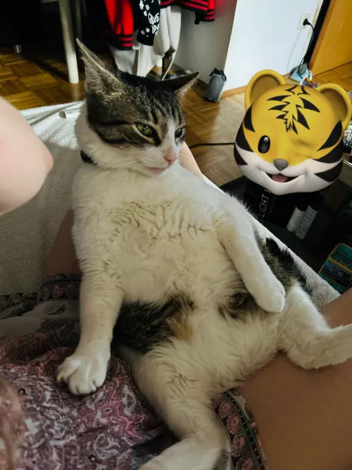 This is my sweet boy [M] 