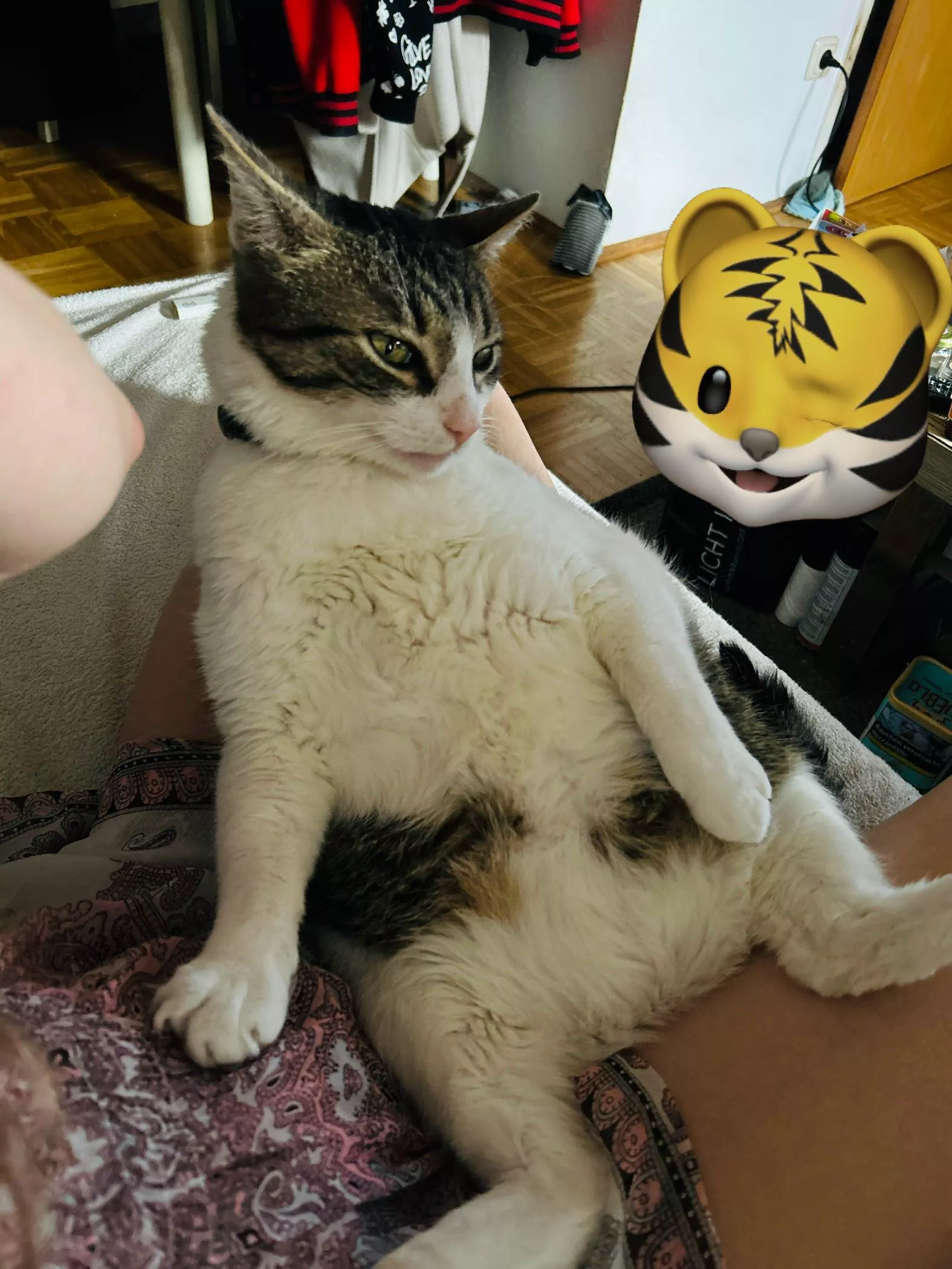 This is my sweet boy [M] 