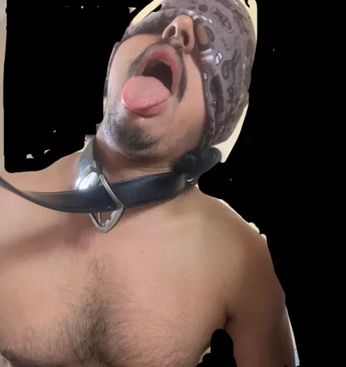 A GOOD SUBMISSIVE MALE LOOKS LIKE THIS !!!!🍑❤️🔥👅