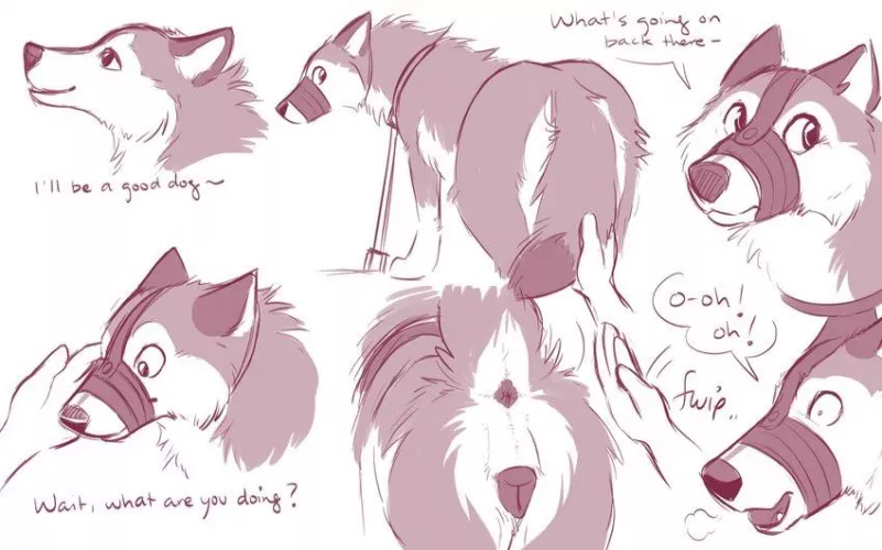 Being an obedient bitch [f] (unknown)