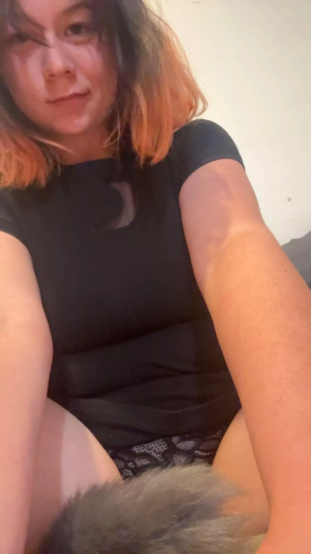 Do you think I’m cute with my tail in?