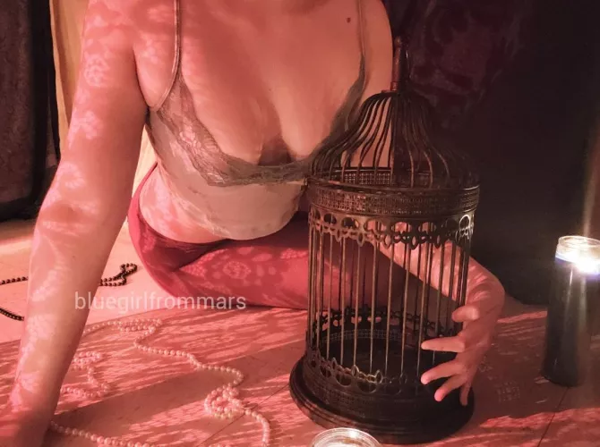 Get in the cage . . . 