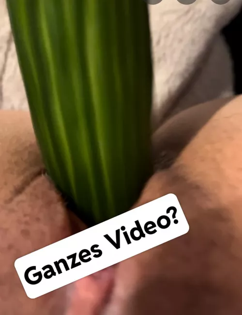 Gurke in meiner pussy