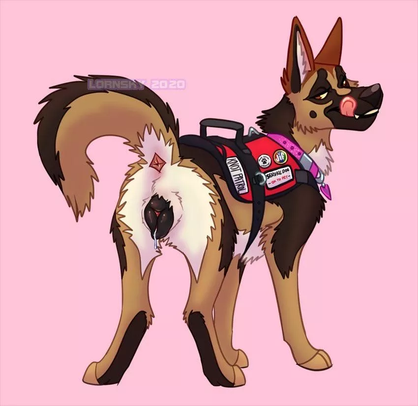 Knot patrol [f] (Lornsky)