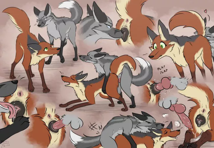 Knotted fox [f] (Musky Dusky)