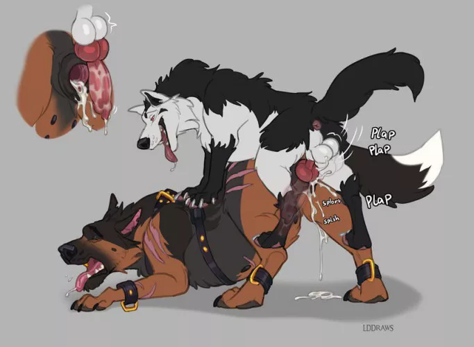 Ludwig creampied [f] (lddraws)