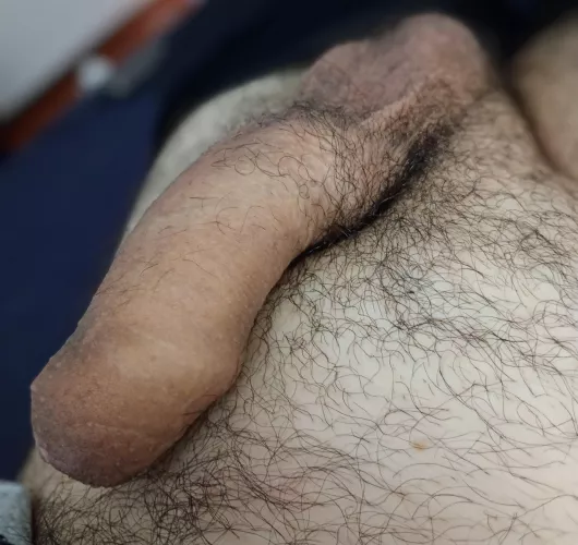 My old cock