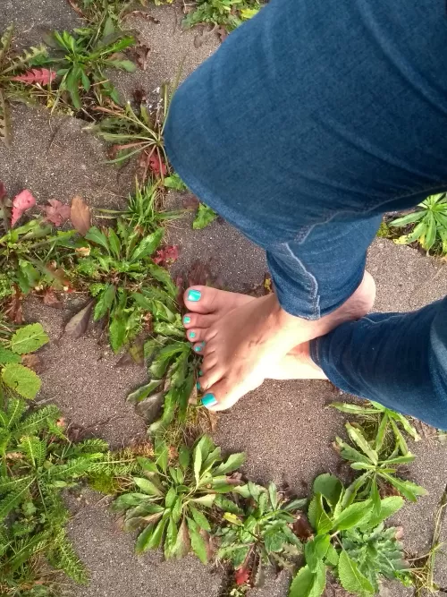 my public feet