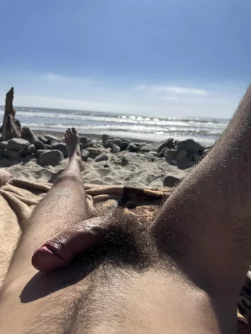 One More Pic From The Other Day 