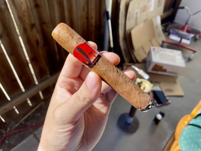 Para Japon by La Aurora