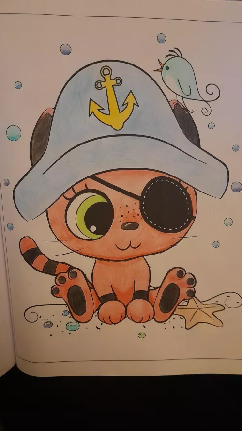 Pirate or sailor? 🤔