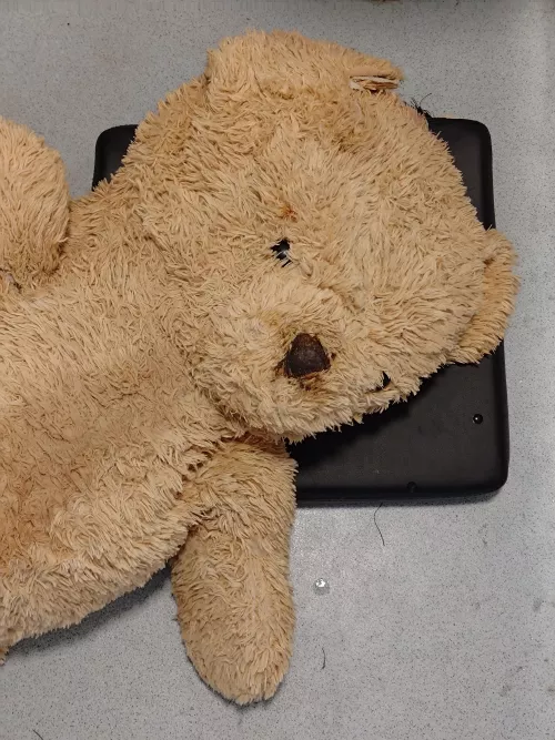 Poor guy felt so soft and comfortable I had to use his face as my butt cushion XD