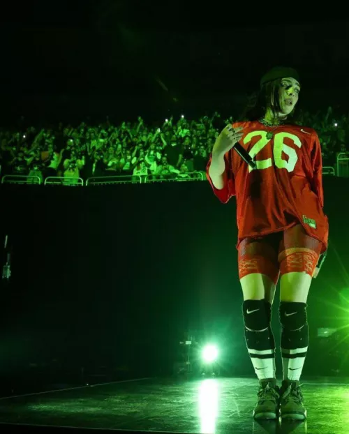 Quebec Show During The 2024 Hit Me Hard And Soft Tour