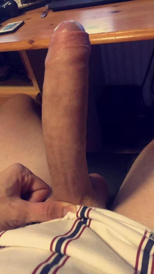 Who’s looking for a bull??