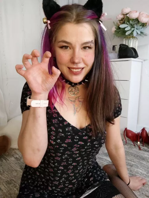 You’re catnip to a girl like me