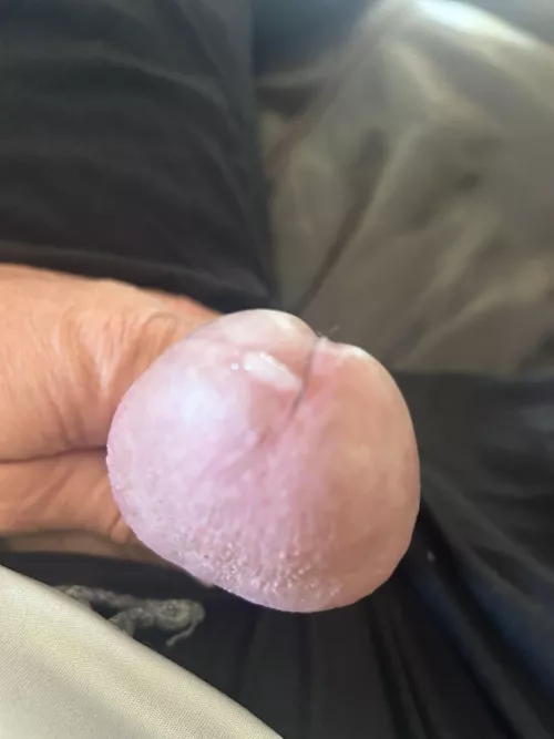 (48) 1st drip of the day 