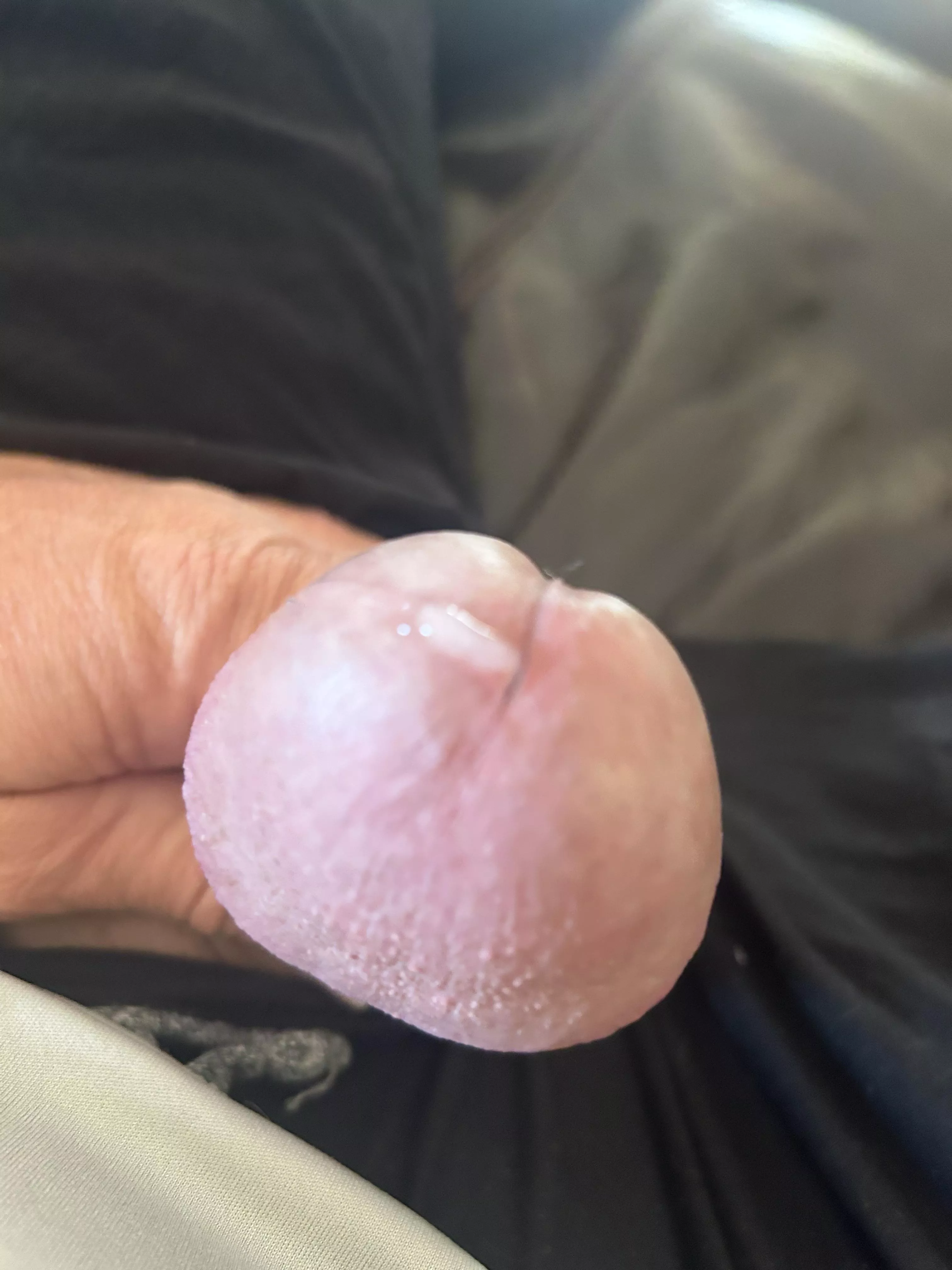 (48) 1st drip of the day 