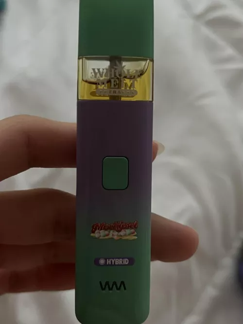 Can I bring this on my domestic flight?