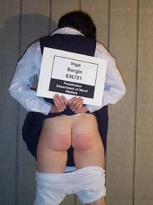 Displayed after sentence executed 