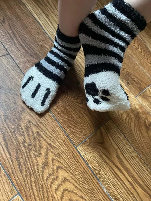 do u wanna smell emo girl fuzzy socks? 