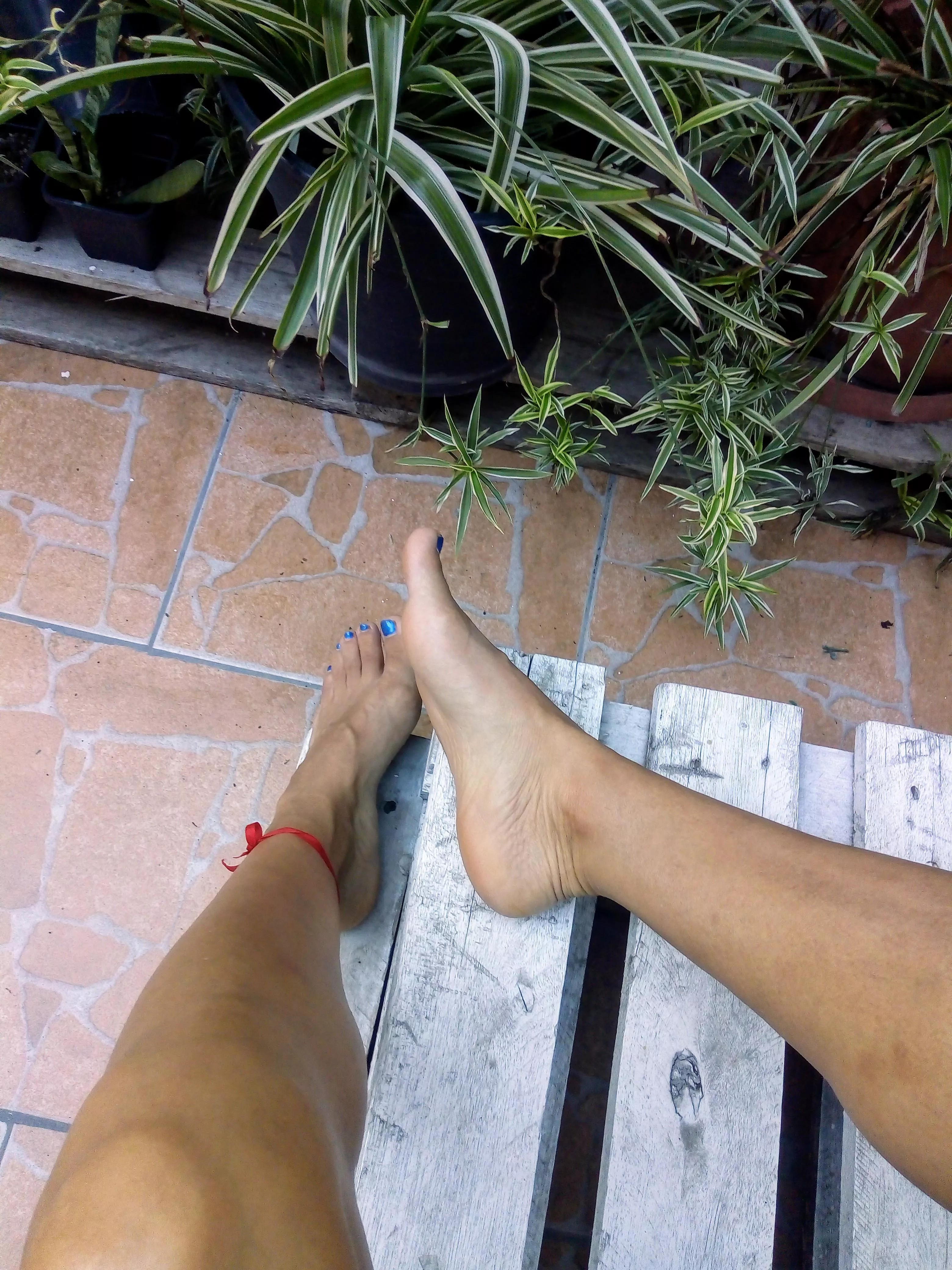 enjoying the morning