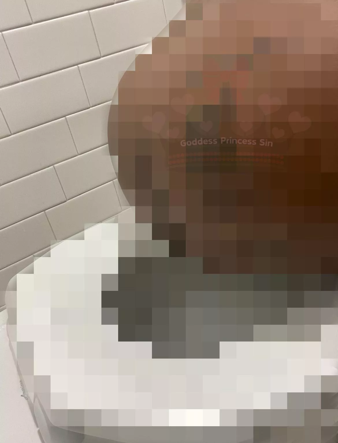 Feeder Seeking Toilet. I’m in NY/NJ Area. 