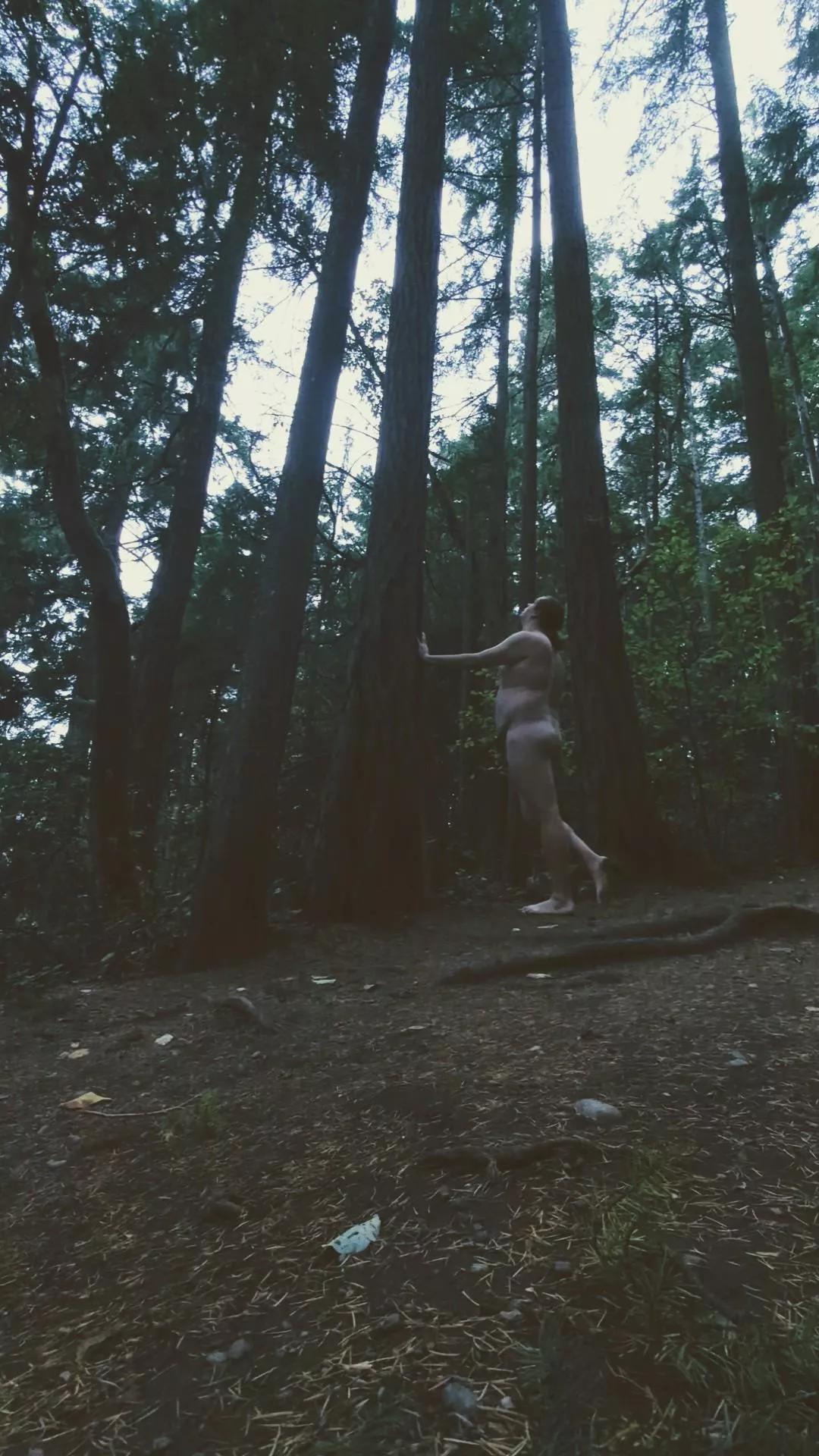 Feeling very Twilight this time of year 🍎