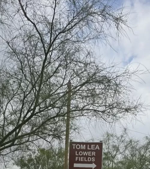 Hmmm I think this will do today for 12pm lunch time 😈. Let's see who can spot me....plz No Dm's. 