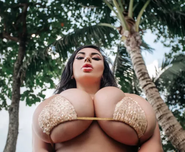 if you want it,come and get it