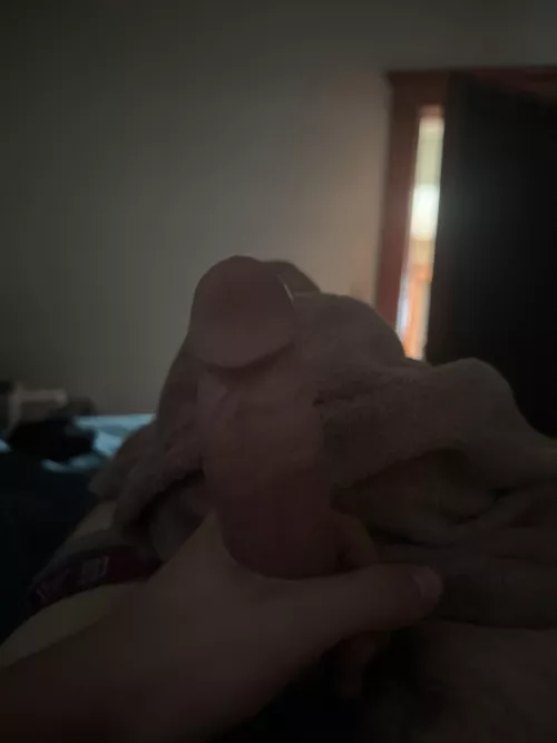 Looking for a bottom in the 920 to suck me or to fuck