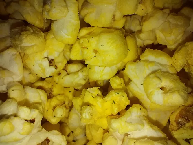 making this post due to a influx of extreme erp post being mass reported 