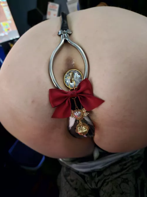 Must be presentable at all times, since my body is just a decorative toy!